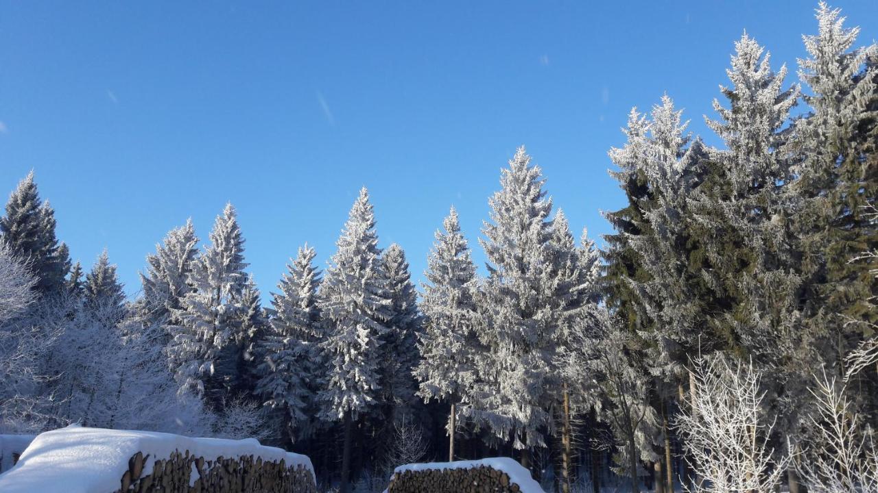 Ferienwohnung Floehatalblick Olbernhau Buitenkant foto