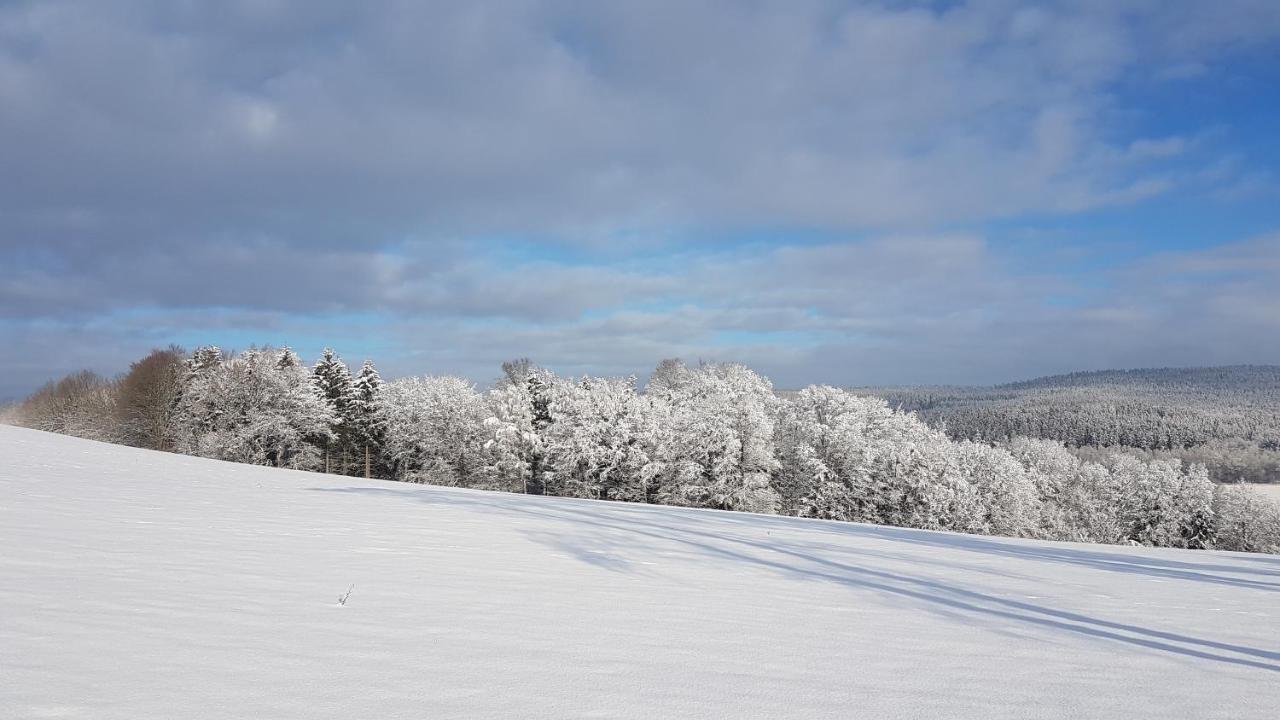 Ferienwohnung Floehatalblick Olbernhau Buitenkant foto